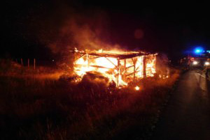 Luftbild WM-Lauf 1968